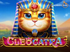 Bedava slot casino oyunları1